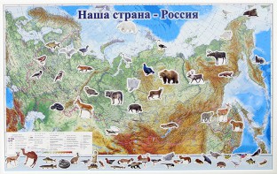Магнитные карточки "Животные" - fgospostavki.ru - Воронеж