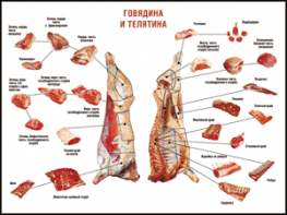 Таблица "Правила разделки мясных туш. Говядина и телятина" (100х140 сантиметров, винил) - fgospostavki.ru - Воронеж