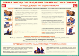 Таблица "Порядок действий при внезапной смерти" (100х140 сантиметров, винил) - fgospostavki.ru - Воронеж