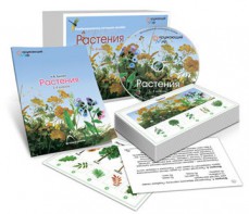 Комбинированное наглядное пособие «Растения» - fgospostavki.ru - Воронеж