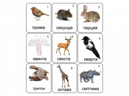 Набор магнитных карточек по музыке "Животные" (9 штук) - fgospostavki.ru - Воронеж