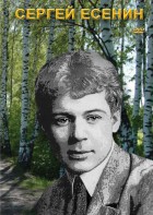 DVD "Сергей Есенин" - fgospostavki.ru - Воронеж