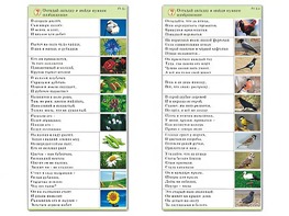 Комплект карточек (10) "Обучающий калейдоскоп. Природа" - fgospostavki.ru - Воронеж