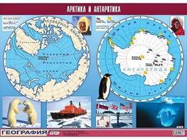 Таблица демонстрационная "Арктика и Антарктика" (винил 100*140) - fgospostavki.ru - Воронеж