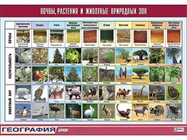 Таблица демонстрационная "Почвы, растения и животные природных зон" (винил 70*100) - fgospostavki.ru - Воронеж