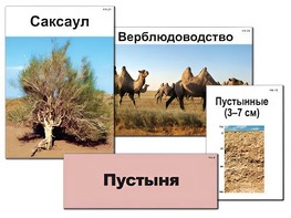 Модель-аппликация "Природные зоны России" (ламинированная) - fgospostavki.ru - Воронеж