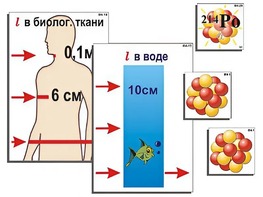 Модель-аппликация "Явление радиоактивности" (ламинированная) - fgospostavki.ru - Воронеж