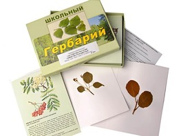 Гербарий "Систематика растений. Семейство Розоцветные" (раздаточный) - fgospostavki.ru - Воронеж