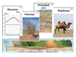 Модель-аппликация "Природные зоны" - fgospostavki.ru - Воронеж