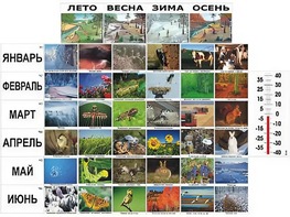 Фенологические наблюдения - fgospostavki.ru - Воронеж
