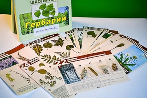 Гербарий к курсу основ общей биологии - fgospostavki.ru - Воронеж