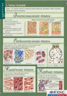 Комплект таблиц. Биология 8-9 класс. Человек. - fgospostavki.ru - Воронеж