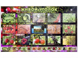 Комплект оборудования "Живой уголок" (растения) с тифлопереводом и сурдокомментариями - fgospostavki.ru - Воронеж