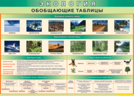Таблица "Экология. Обобщающие таблицы" (100х140 сантиметров, винил) - fgospostavki.ru - Воронеж