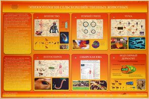 Электрифицированный стенд «Эпизоотология сельскохозяйственных животных» - fgospostavki.ru - Воронеж