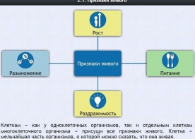 Интерактивные курсы. Биология 5 класс. Базовый - fgospostavki.ru - Воронеж