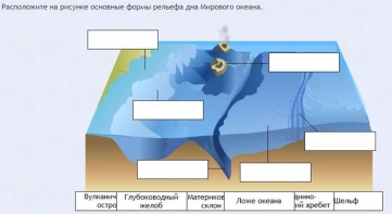 Интерактивные курсы. География 7 класс . Базовый. - fgospostavki.ru - Воронеж