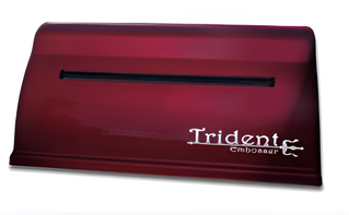 Принтер для печати рельефно-точечным шрифтом Брайля Trident - fgospostavki.ru - Воронеж