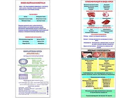 Плакаты ПРОФТЕХ "Классификации и виды мяса" (4 пл, винил, 70х100) - fgospostavki.ru - Воронеж