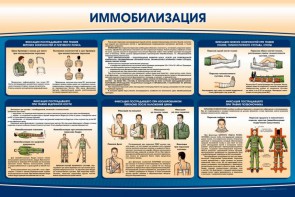 Стенд "Иммобилизация" - fgospostavki.ru - Воронеж