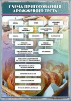 Стенд "Схема приготовления дрожжевого теста" - fgospostavki.ru - Воронеж