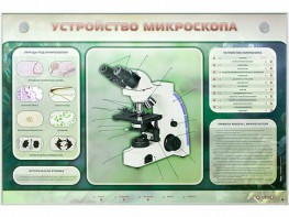 Электрифицированный стенд "Устройство микроскопа и правила работы c ним" - fgospostavki.ru - Воронеж