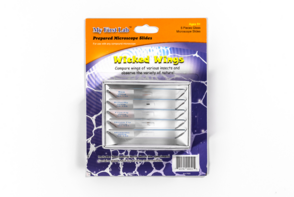 Набор микропрепаратов для микроскопа №5 «Насекомые» - fgospostavki.ru - Воронеж