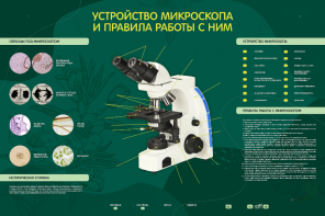 Электрифицированный стенд "Устройство микроскопа и правила работы c ним" - fgospostavki.ru - Воронеж