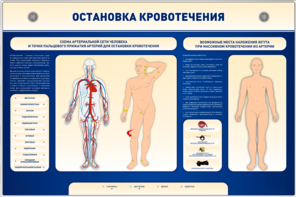 Электрифицированный стенд-тренажер "Остановка кровотечения" - fgospostavki.ru - Воронеж
