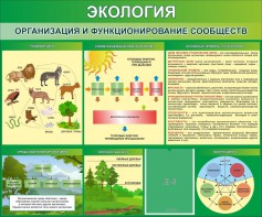 Стенд "Экология. Организация и функционирование сообществ" - fgospostavki.ru - Воронеж
