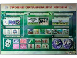 Электрифицированный стенд "Уровни организации жизни" - fgospostavki.ru - Воронеж