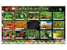 Комплект оборудования "Живой уголок" (растения) - fgospostavki.ru - Воронеж