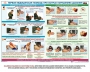 Комплект плакатов "Оказание первой доврачебной медицинской помощи" - fgospostavki.ru - Воронеж