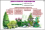 Комплект кодотранспарантов "Культурные растения" - fgospostavki.ru - Воронеж