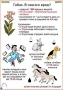 Комплект кодотранспарантов "Ядовитые растения" - fgospostavki.ru - Воронеж