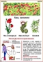 Комплект кодотранспарантов "Ядовитые растения" - fgospostavki.ru - Воронеж